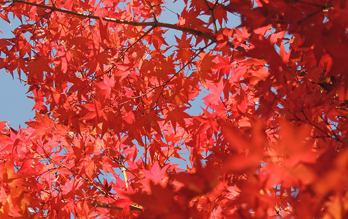 10月の事務ごよみ